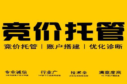 案例分析：百度推广成功案例解析